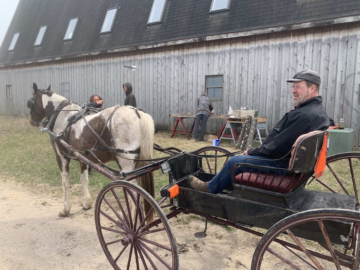 Pat and Bandit's buggy rides